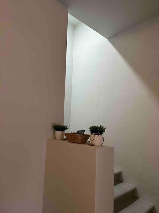 Casa Privada En Villa Bricia Cuernavaca Eksteriør bilde